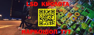 молекула духа Берёзовский